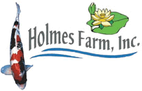 Holmes Farm
